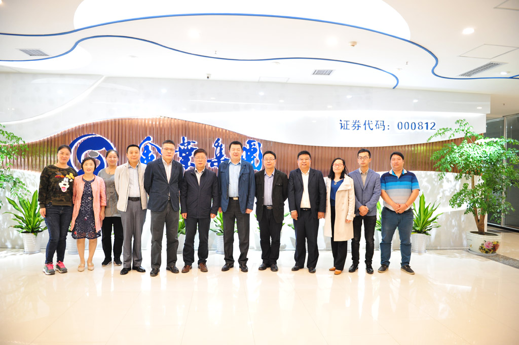 金葉集團(tuán)信息化項目啟動大會順利召開 金葉集團(tuán)信息化項目啟動大會順利召開