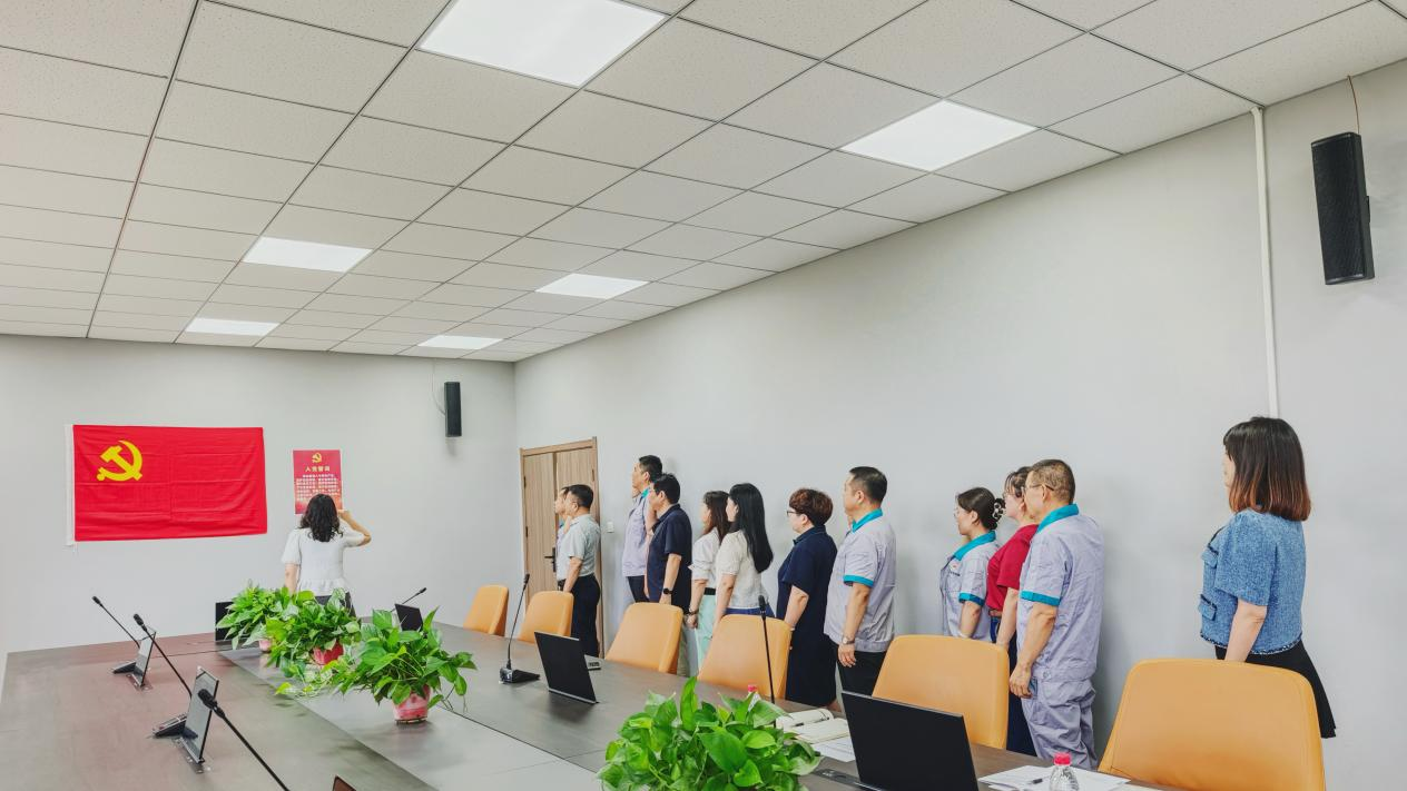 系統(tǒng)部署黨建工作 全面凝聚奮進力量——集團公司黨委召開三屆十一次全委（擴大）會議暨2024-2025年度表彰大會、黨員宣誓活動